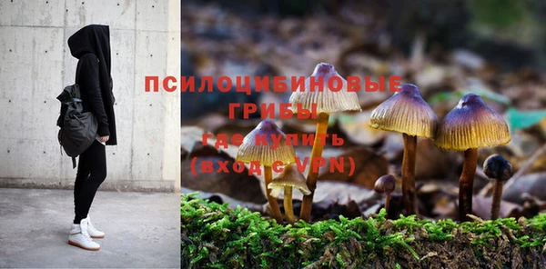 стафф Алексеевка