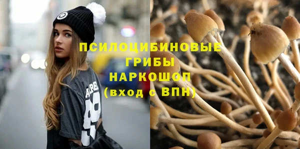стафф Алексеевка