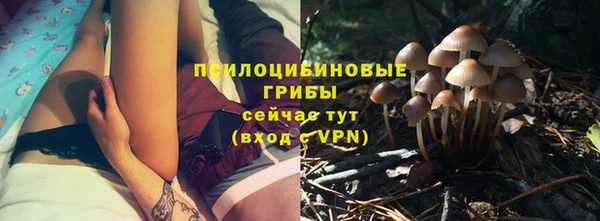 стафф Алексеевка