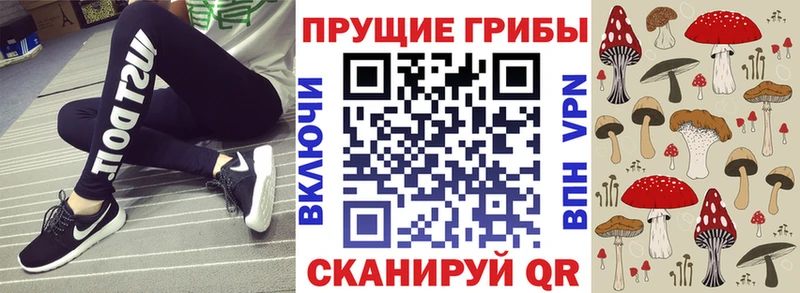 наркота  Суджа  площадка Telegram  Галлюциногенные грибы MAGIC MUSHROOMS 